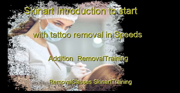 Skinart Introduction to start with tattoo removal in Speeds Addition | #RemovalTraining #RemovalClasses #SkinartTraining-United States