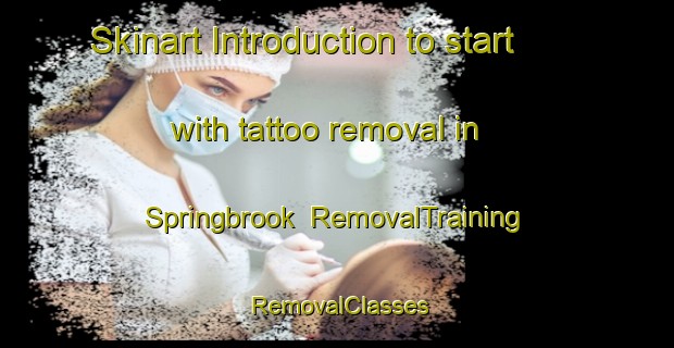 Skinart Introduction to start with tattoo removal in Springbrook | RemovalTraining | RemovalClasses | SkinartTraining-United States