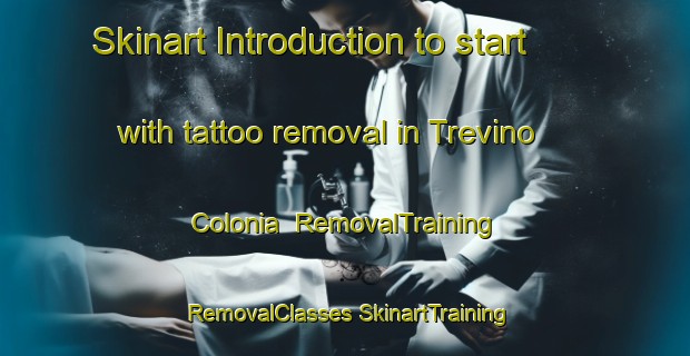 Skinart Introduction to start with tattoo removal in Trevino Colonia | #RemovalTraining #RemovalClasses #SkinartTraining-United States