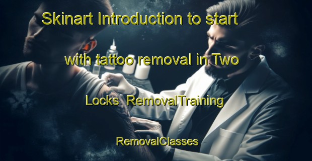 Skinart Introduction to start with tattoo removal in Two Locks | RemovalTraining | RemovalClasses | SkinartTraining-United States