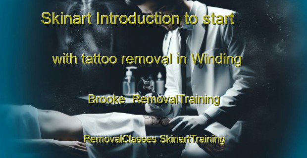 Skinart Introduction to start with tattoo removal in Winding Brooke | #RemovalTraining #RemovalClasses #SkinartTraining-United States