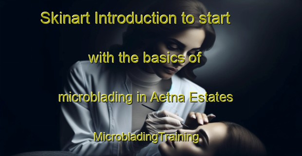 Skinart Introduction to start with the basics of microblading in Aetna Estates | MicrobladingTraining | MicrobladingClasses | SkinartTraining-United States