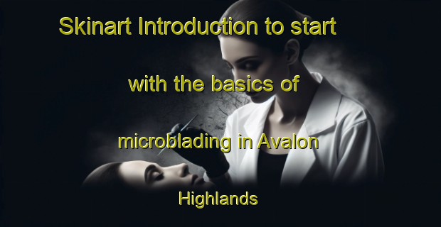 Skinart Introduction to start with the basics of microblading in Avalon Highlands | MicrobladingTraining | MicrobladingClasses | SkinartTraining-United States