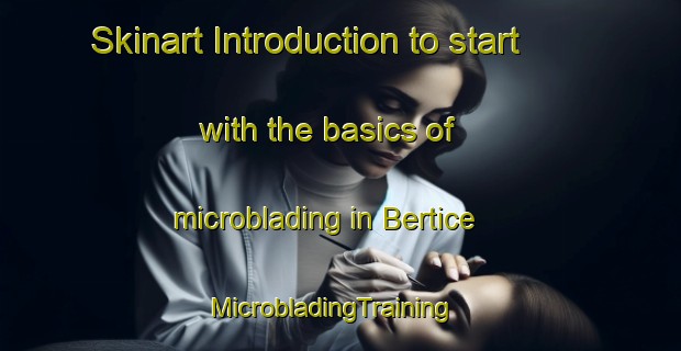 Skinart Introduction to start with the basics of microblading in Bertice | MicrobladingTraining | MicrobladingClasses | SkinartTraining-United States