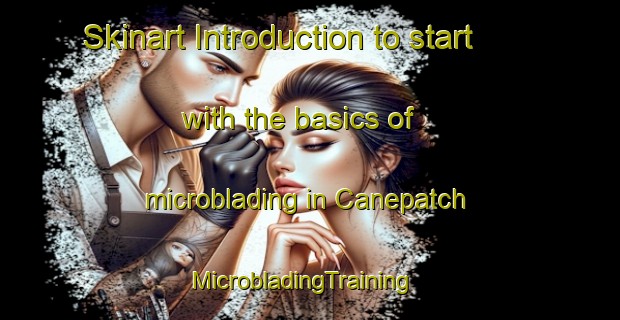 Skinart Introduction to start with the basics of microblading in Canepatch | MicrobladingTraining | MicrobladingClasses | SkinartTraining-United States