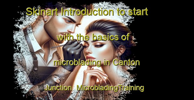 Skinart Introduction to start with the basics of microblading in Canton Junction | MicrobladingTraining | MicrobladingClasses | SkinartTraining-United States