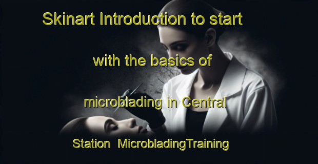 Skinart Introduction to start with the basics of microblading in Central Station | MicrobladingTraining | MicrobladingClasses | SkinartTraining-United States