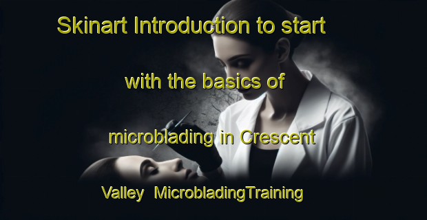 Skinart Introduction to start with the basics of microblading in Crescent Valley | MicrobladingTraining | MicrobladingClasses | SkinartTraining-United States