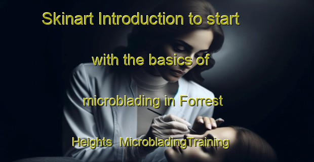 Skinart Introduction to start with the basics of microblading in Forrest Heights | MicrobladingTraining | MicrobladingClasses | SkinartTraining-United States