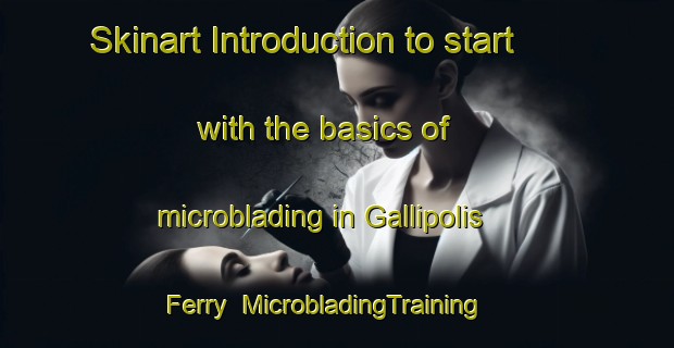 Skinart Introduction to start with the basics of microblading in Gallipolis Ferry | MicrobladingTraining | MicrobladingClasses | SkinartTraining-United States