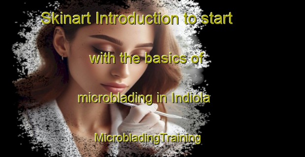 Skinart Introduction to start with the basics of microblading in Indiola | MicrobladingTraining | MicrobladingClasses | SkinartTraining-United States
