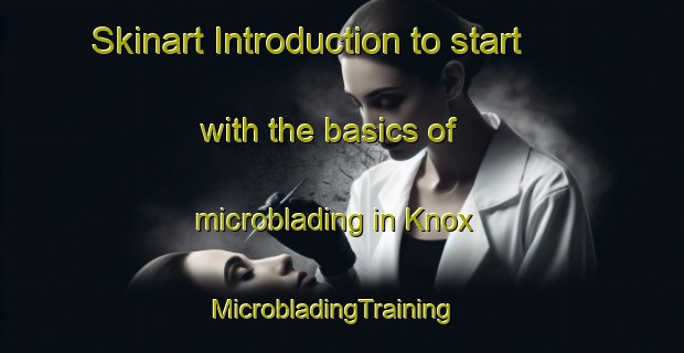 Skinart Introduction to start with the basics of microblading in Knox | MicrobladingTraining | MicrobladingClasses | SkinartTraining-United States