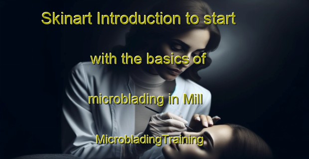 Skinart Introduction to start with the basics of microblading in Mill | MicrobladingTraining | MicrobladingClasses | SkinartTraining-United States