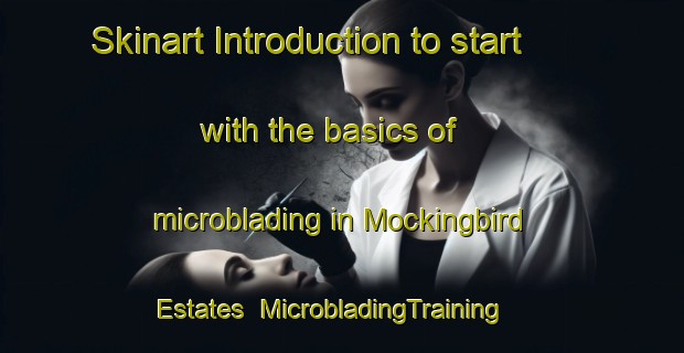 Skinart Introduction to start with the basics of microblading in Mockingbird Estates | MicrobladingTraining | MicrobladingClasses | SkinartTraining-United States