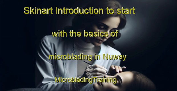 Skinart Introduction to start with the basics of microblading in Nuway | MicrobladingTraining | MicrobladingClasses | SkinartTraining-United States