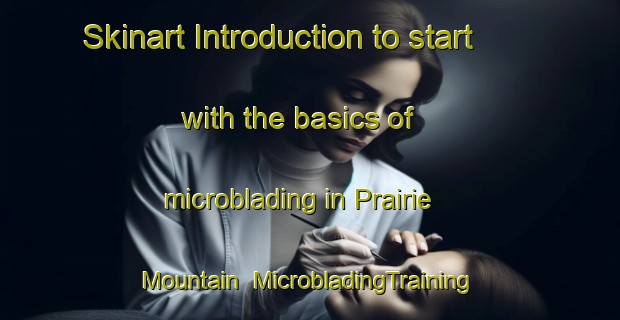 Skinart Introduction to start with the basics of microblading in Prairie Mountain | MicrobladingTraining | MicrobladingClasses | SkinartTraining-United States
