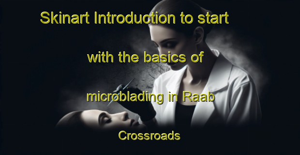 Skinart Introduction to start with the basics of microblading in Raab Crossroads | MicrobladingTraining | MicrobladingClasses | SkinartTraining-United States