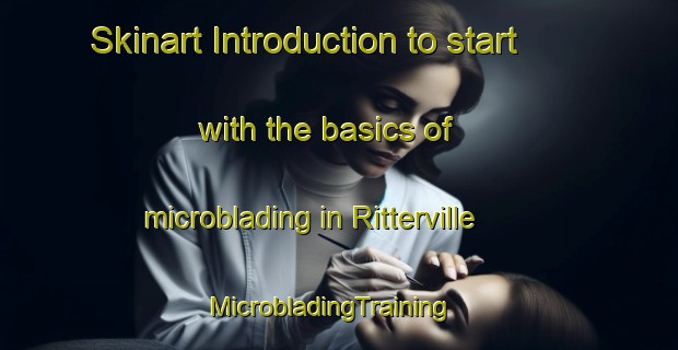 Skinart Introduction to start with the basics of microblading in Ritterville | MicrobladingTraining | MicrobladingClasses | SkinartTraining-United States