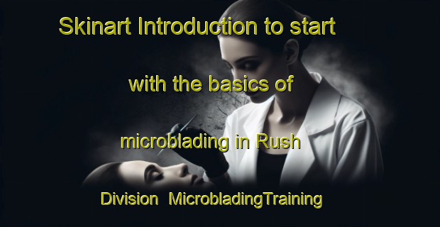 Skinart Introduction to start with the basics of microblading in Rush   Division | MicrobladingTraining | MicrobladingClasses | SkinartTraining-United States