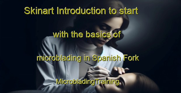 Skinart Introduction to start with the basics of microblading in Spanish Fork | MicrobladingTraining | MicrobladingClasses | SkinartTraining-United States