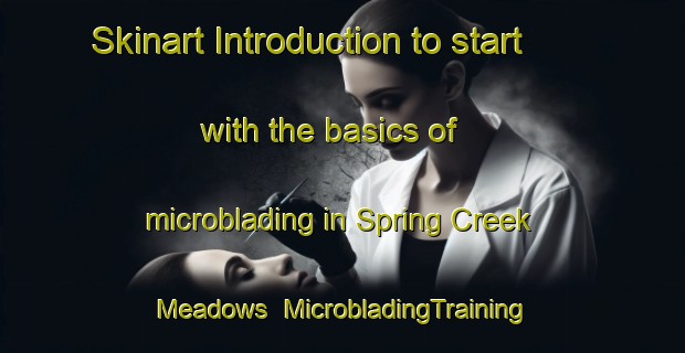 Skinart Introduction to start with the basics of microblading in Spring Creek Meadows | MicrobladingTraining | MicrobladingClasses | SkinartTraining-United States