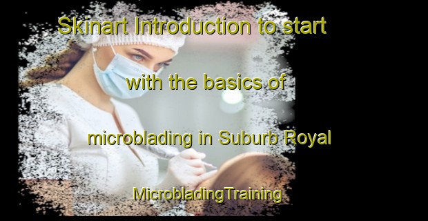 Skinart Introduction to start with the basics of microblading in Suburb Royal | MicrobladingTraining | MicrobladingClasses | SkinartTraining-United States
