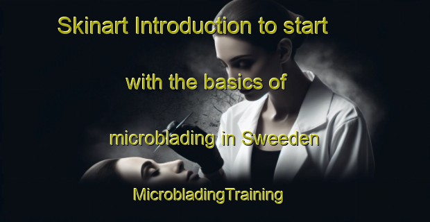 Skinart Introduction to start with the basics of microblading in Sweeden | MicrobladingTraining | MicrobladingClasses | SkinartTraining-United States