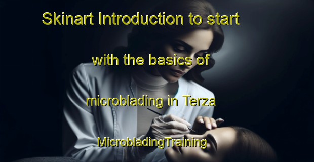 Skinart Introduction to start with the basics of microblading in Terza | MicrobladingTraining | MicrobladingClasses | SkinartTraining-United States