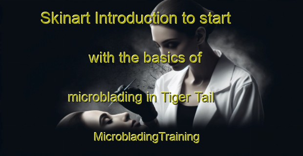 Skinart Introduction to start with the basics of microblading in Tiger Tail | MicrobladingTraining | MicrobladingClasses | SkinartTraining-United States