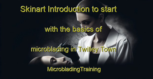 Skinart Introduction to start with the basics of microblading in Twilley Town | MicrobladingTraining | MicrobladingClasses | SkinartTraining-United States