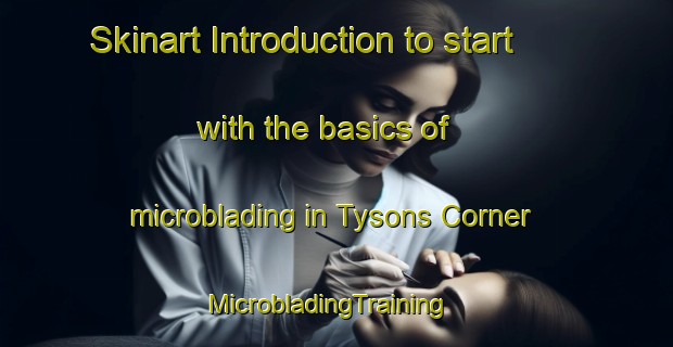 Skinart Introduction to start with the basics of microblading in Tysons Corner | MicrobladingTraining | MicrobladingClasses | SkinartTraining-United States