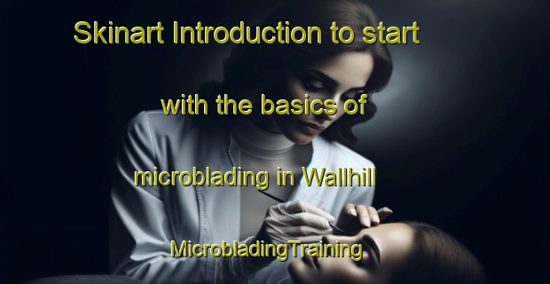 Skinart Introduction to start with the basics of microblading in Wallhill | MicrobladingTraining | MicrobladingClasses | SkinartTraining-United States