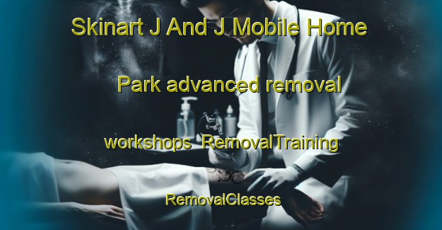 Skinart J And J Mobile Home Park advanced removal workshops | RemovalTraining | RemovalClasses | SkinartTraining-United States