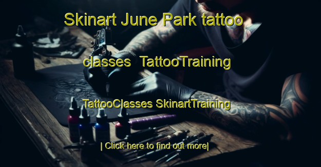 Skinart June Park tattoo classes | #TattooTraining #TattooClasses #SkinartTraining-United States