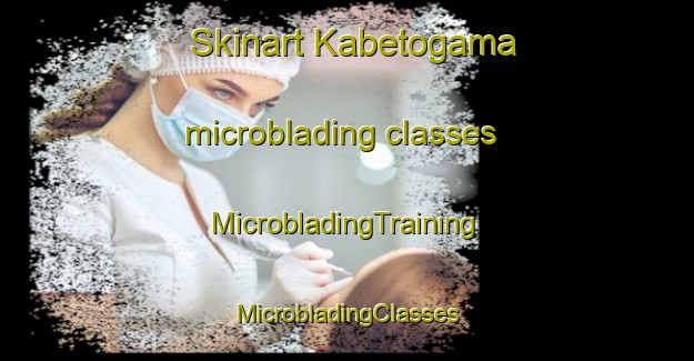 Skinart Kabetogama microblading classes | #MicrobladingTraining #MicrobladingClasses #SkinartTraining-United States