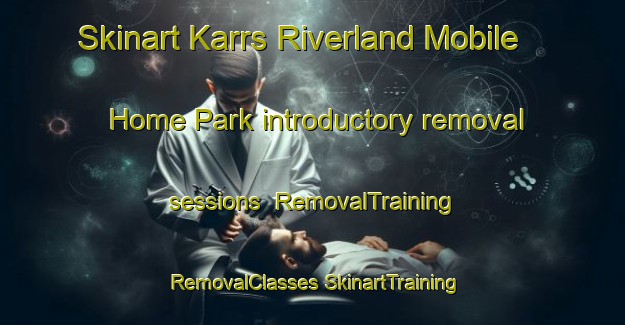 Skinart Karrs Riverland Mobile Home Park introductory removal sessions | #RemovalTraining #RemovalClasses #SkinartTraining-United States