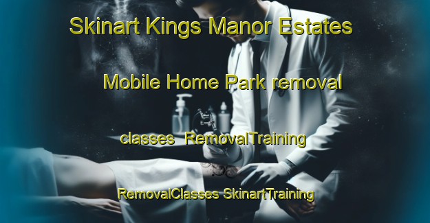 Skinart Kings Manor Estates Mobile Home Park removal classes | #RemovalTraining #RemovalClasses #SkinartTraining-United States