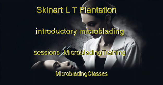 Skinart L T Plantation introductory microblading sessions | #MicrobladingTraining #MicrobladingClasses #SkinartTraining-United States