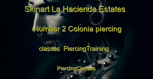 Skinart La Hacienda Estates Number 2 Colonia piercing classes | #PiercingTraining #PiercingClasses #SkinartTraining-United States