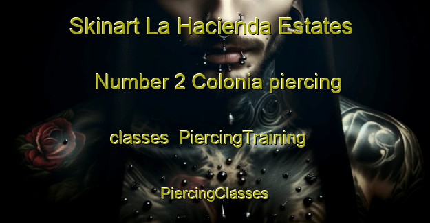 Skinart La Hacienda Estates Number 2 Colonia piercing classes | #PiercingTraining #PiercingClasses #SkinartTraining-United States