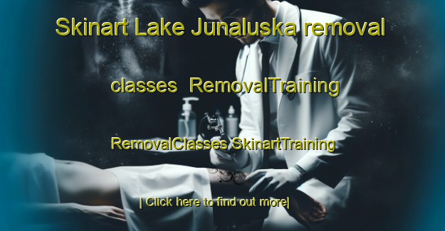 Skinart Lake Junaluska removal classes | #RemovalTraining #RemovalClasses #SkinartTraining-United States