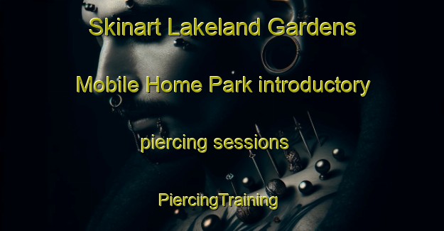 Skinart Lakeland Gardens Mobile Home Park introductory piercing sessions | #PiercingTraining #PiercingClasses #SkinartTraining-United States