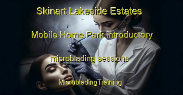 Skinart Lakeside Estates Mobile Home Park introductory microblading sessions | #MicrobladingTraining #MicrobladingClasses #SkinartTraining-United States