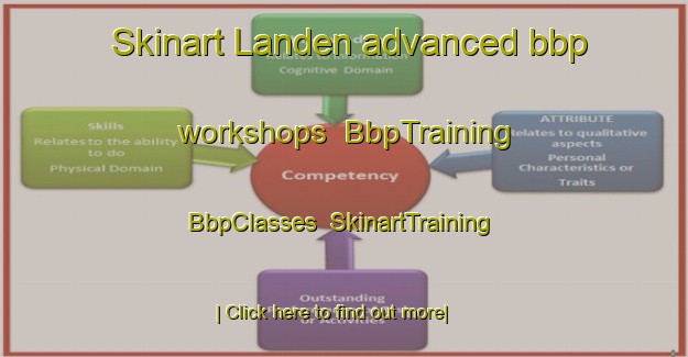Skinart Landen advanced bbp workshops | BbpTraining | BbpClasses | SkinartTraining-United States