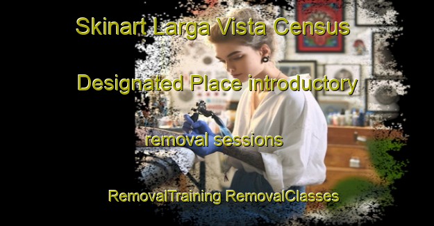 Skinart Larga Vista Census Designated Place introductory removal sessions | #RemovalTraining #RemovalClasses #SkinartTraining-United States