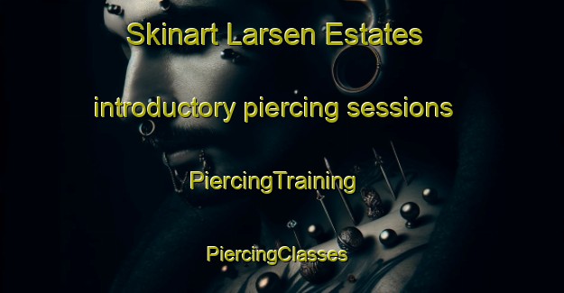Skinart Larsen Estates introductory piercing sessions | PiercingTraining | PiercingClasses | SkinartTraining-United States