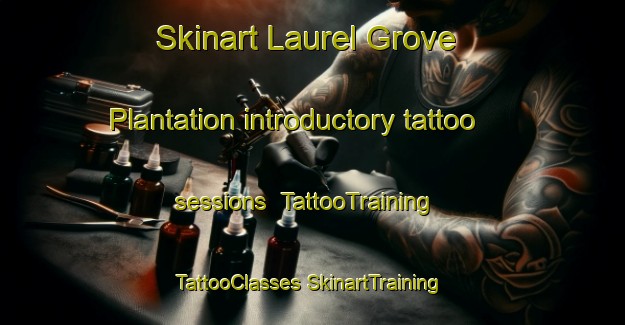 Skinart Laurel Grove Plantation introductory tattoo sessions | #TattooTraining #TattooClasses #SkinartTraining-United States