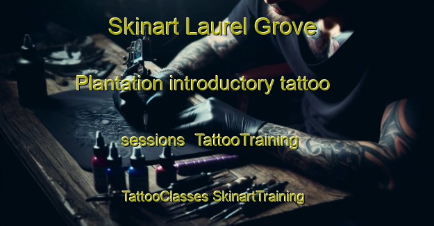 Skinart Laurel Grove Plantation introductory tattoo sessions | #TattooTraining #TattooClasses #SkinartTraining-United States