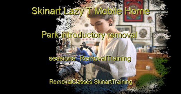 Skinart Lazy T Mobile Home Park introductory removal sessions | #RemovalTraining #RemovalClasses #SkinartTraining-United States