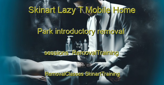 Skinart Lazy T Mobile Home Park introductory removal sessions | #RemovalTraining #RemovalClasses #SkinartTraining-United States